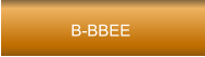 B-BBEE